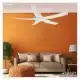 Arizona Matte White – 54