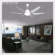Avalon White – 66