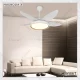 Magnolia X – 53