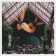 Twinz Ceiling Mount – 52