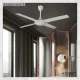 Vienna White – 52